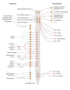 Ganong's Review of Medical Physiology, 24th Edition