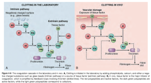 Robbins & Cotran Pathologic Basis of Disease 9E (2014)