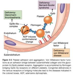 Robbins & Cotran Pathologic Basis of Disease 9E (2014)