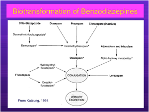 Metabolism