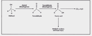 Toxicology