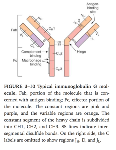 Ganong's Review of Medical Physiology, 24th Edition