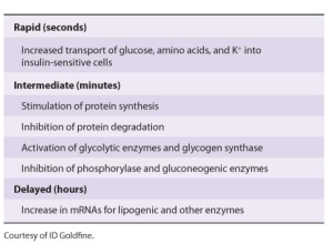 Ganong's Review of Medical Physiology, 24th Edition