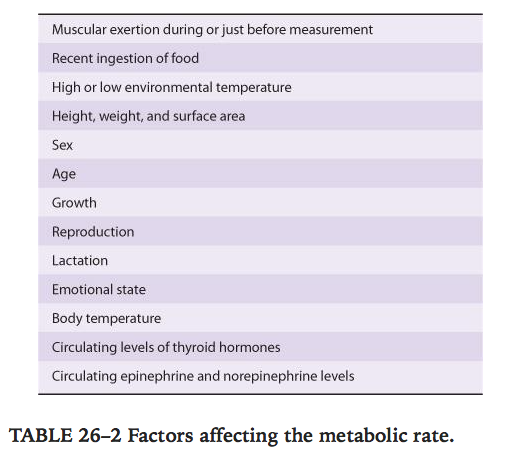 Factors affecting metabolic rate