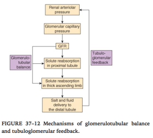 Ganong's Review of Medical Physiology, 24th Edition