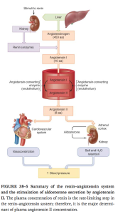 Ganong's Review of Medical Physiology, 24th Edition