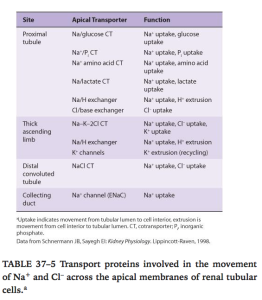 Ganong's Review of Medical Physiology, 24th Edition