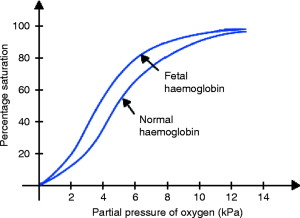 fetal and normal hemoglobin